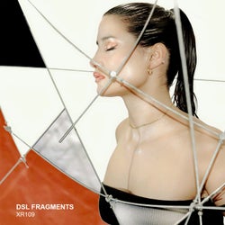 DSL Fragments
