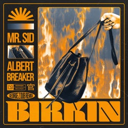 Birkin (Extended Mix, George Z Dub Remix)