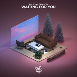 Waiting for You (Extended Mix)