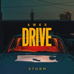 Drive (Extended Mix)