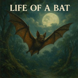 Life of a Bat