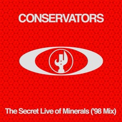The Secret Life of Minerals ('98 Mix)