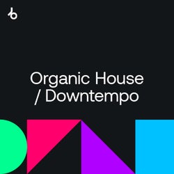 Organic House / Downtempo Audio Examples