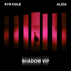 Shadow (VIP Extended Mix)