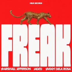 Freak (Extended Mix)