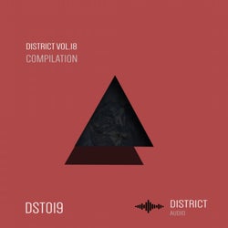 District, Vol. 18