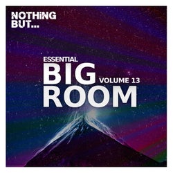 Nothing But... Essential Big Room, Vol. 13