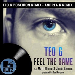 Feel The Same (feat. Matt Ghione & Jamie Avenue) [Remixes]