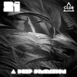 A Deep Dimension Vol. 21