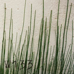 Dub till samtliga EP