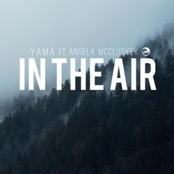 In the air (feat. Angela McCluskey)