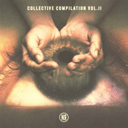 Noise Revolt Collective Compilation, Vol. II