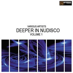 Deeper in Nudisco, Vol. 1