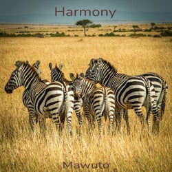 Harmony