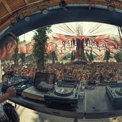 The Acid Revolution