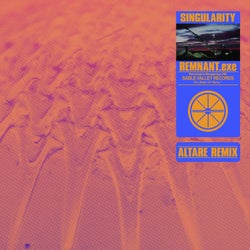 Singularity (Altare Remix)