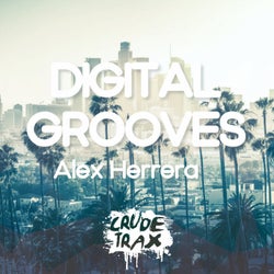 Digital Grooves