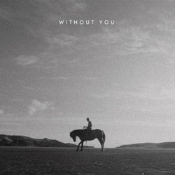 Without You