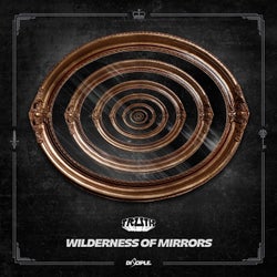 Wilderness of Mirrors