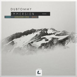 Immersion (Remixes)