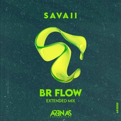 Br Flow (Extended Mix)