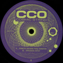 Cosmic String