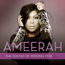 The Sound Of Missing You (UK Remixes)