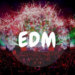 Edm Festival Hits 25