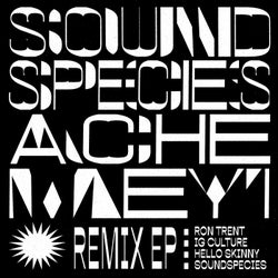 Soundspecies & Ache Meyi (Remix EP)