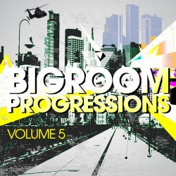 Bigroom Progressions - Volume 5
