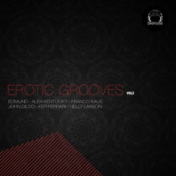 Erotic Grooves, Vol. 2