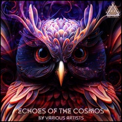 Echoes of the Cosmos