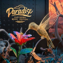 Paradise Electronic Music Festival