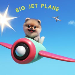 Big Jet Plane