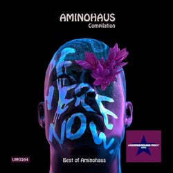 Best of Aminohaus
