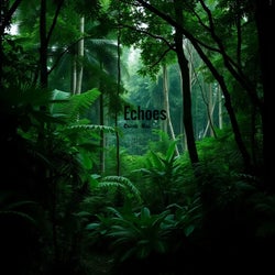 Echoes