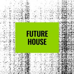 Floorfillers - Future House