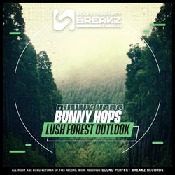 Lush forest outlook