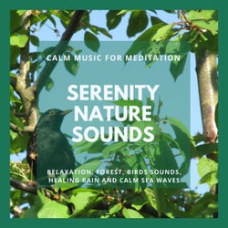 Serenity Nature Sounds - Calm Music For Meditation, Relaxation, Forest, Birds Sounds, Healing Rain And Calm Sea Waves