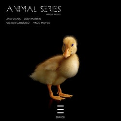 Animals series