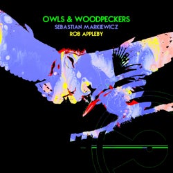 Owls & Woodpeckers