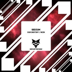 Our Destiny / Skin