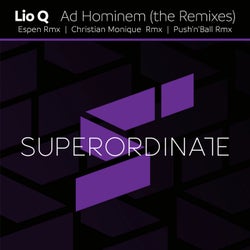Ad Hominem ( the Remixes )