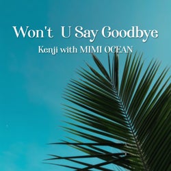 Won't U Say Goodbye