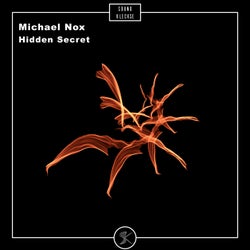 Hidden Secret