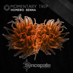 Momentary Trip