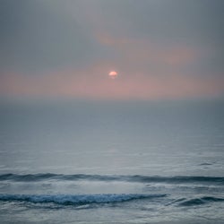 Surge