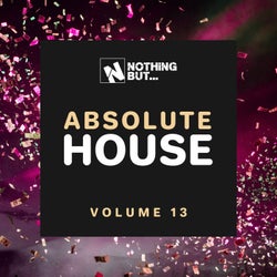 Nothing But... Absolute House, Vol. 13