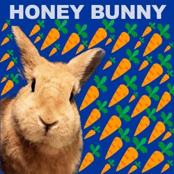 Honey Bunny On Ibiza