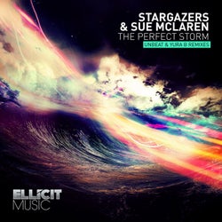 The Perfect Storm (The Remixes)